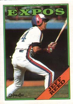 1988 O-Pee-Chee Baseball Cards 176     Jeff Reed